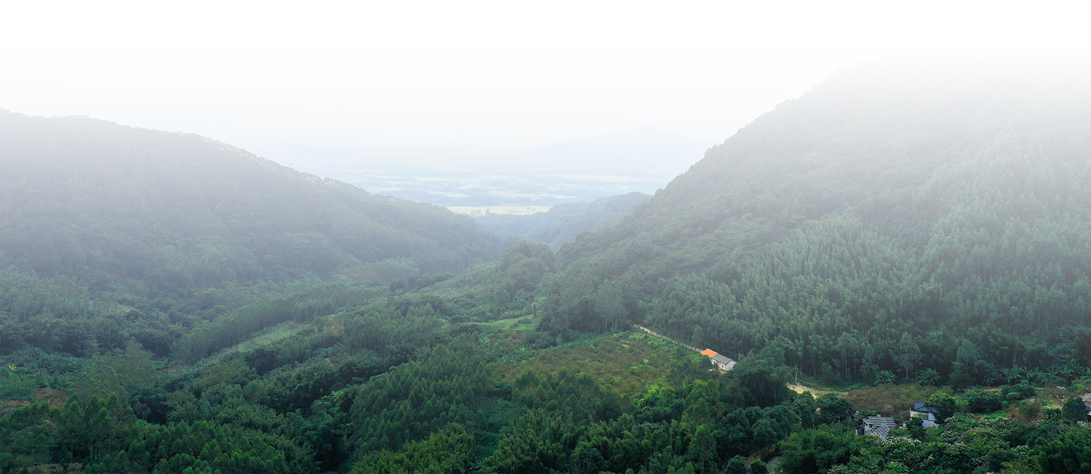 惠州龙门 - 坐落森林深处的工厂